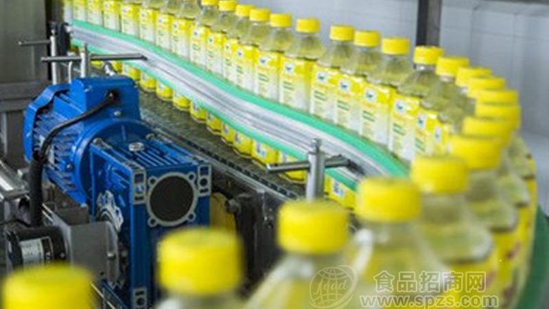 油炸机清洗与维护：关键区别与正确实践